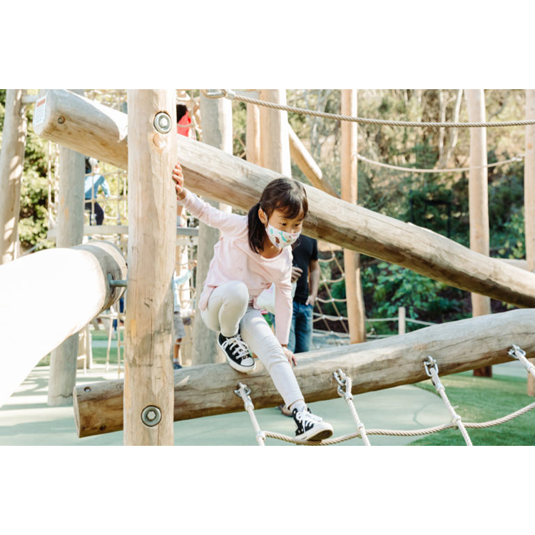 Kids Playground Outdoor Play S - огляд і ціна Kids Outdoor Climbing Frame